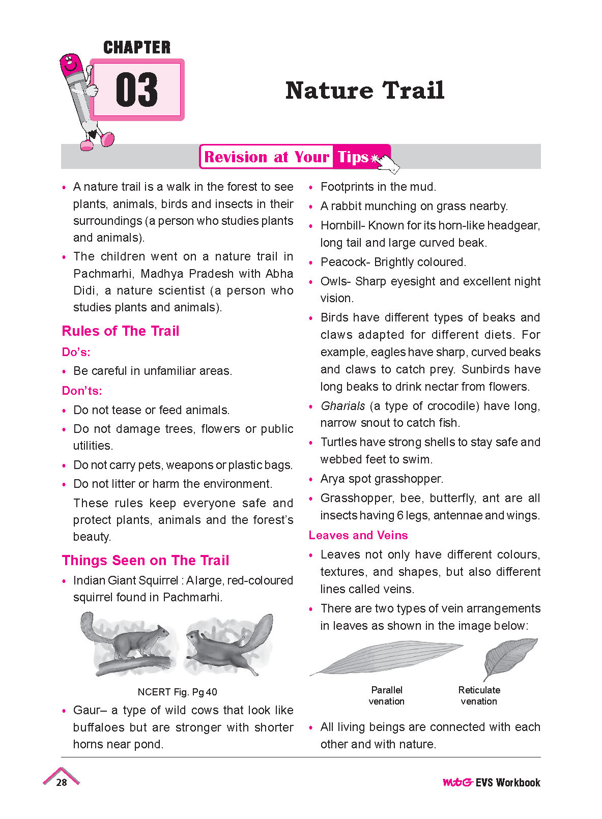 NCERT Buddy Workbook EVS Class 4_Page_4