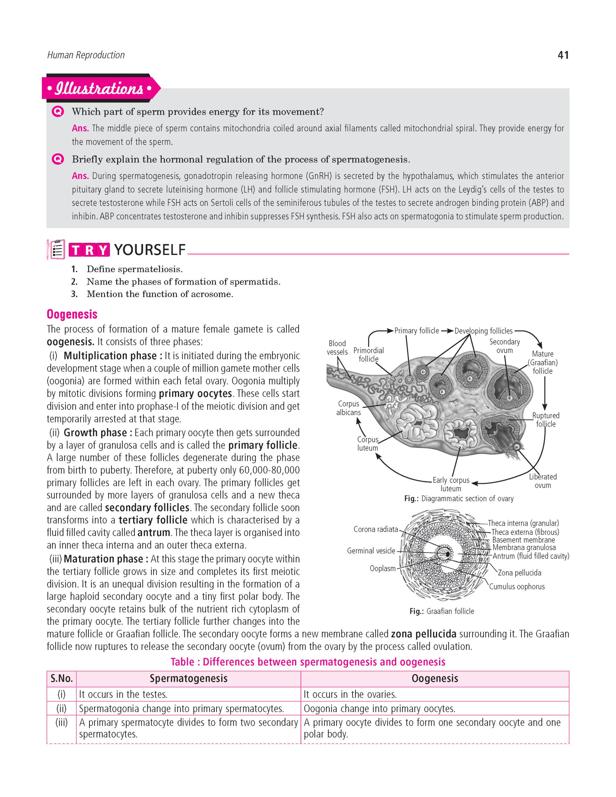 100 Percent NCERT and CBSE Biology Class 12 For 2026-27 Exam