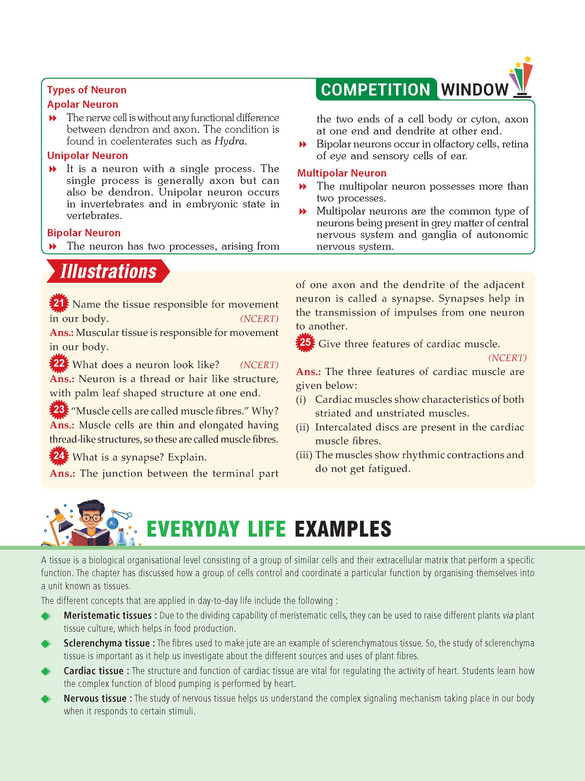 Foundation Course Class 9 Biology For NEET, IIT-JEE, CUET and Boards Exams (Edition 2026-2027)