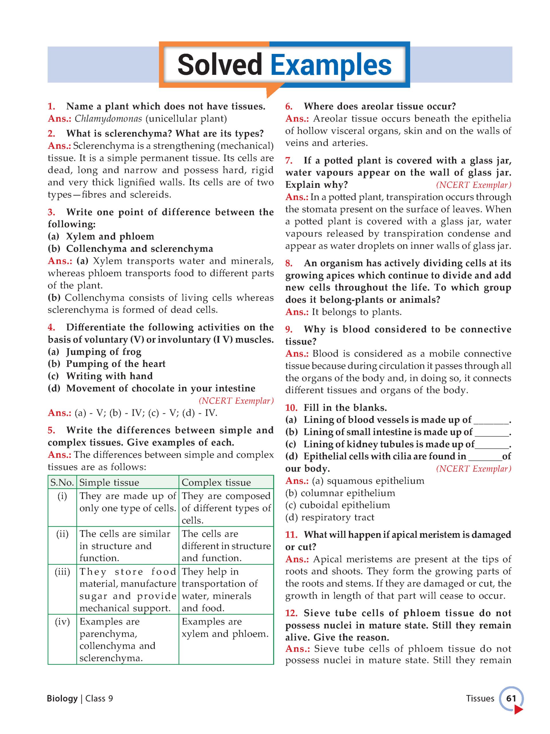 Foundation Course Class 9 Biology For NEET, IIT-JEE, CUET and Boards Exams (Edition 2026-2027)
