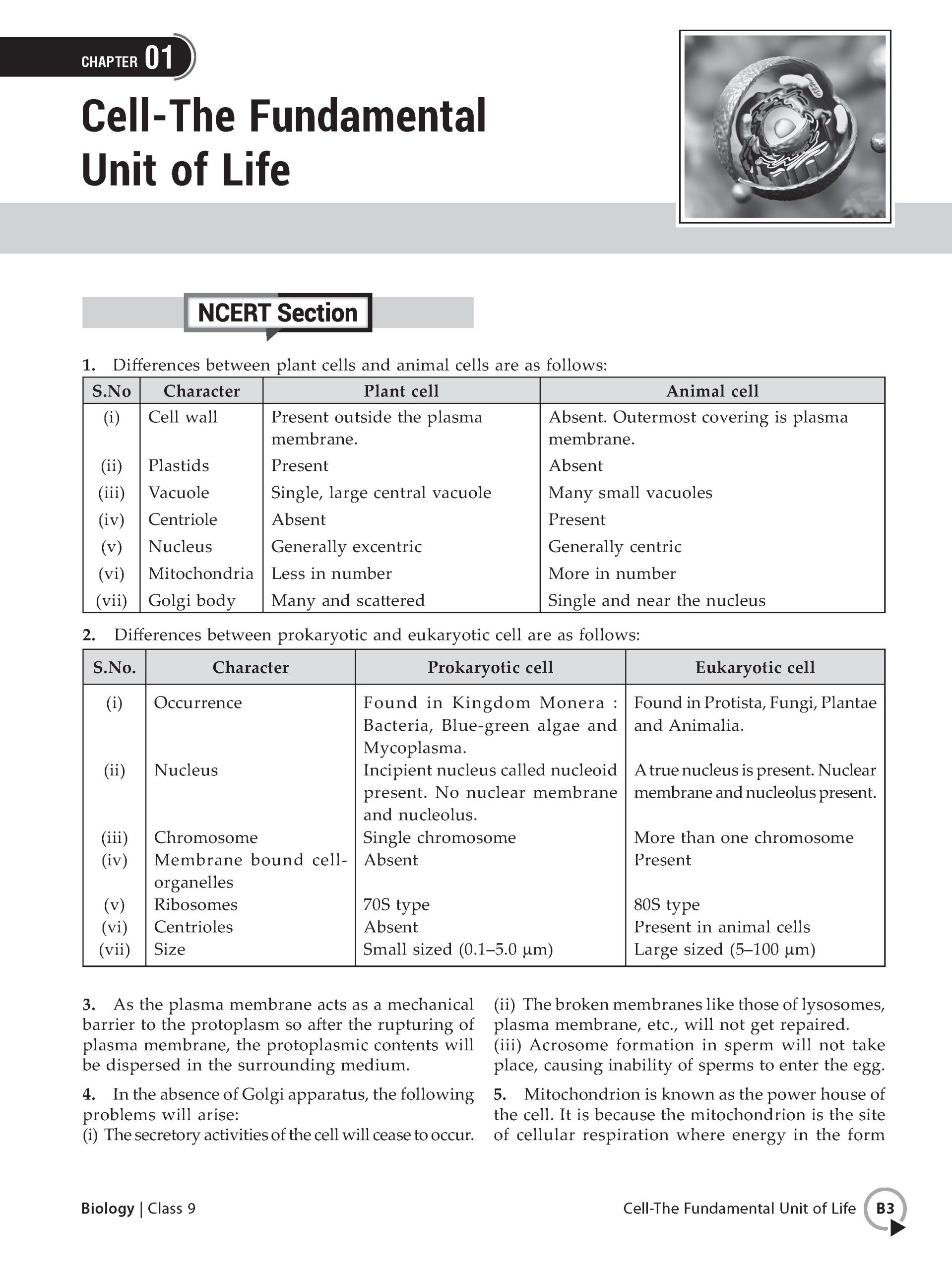 Foundation Course Class 9 Biology For NEET, IIT-JEE, CUET and Boards Exams (Edition 2026-2027)