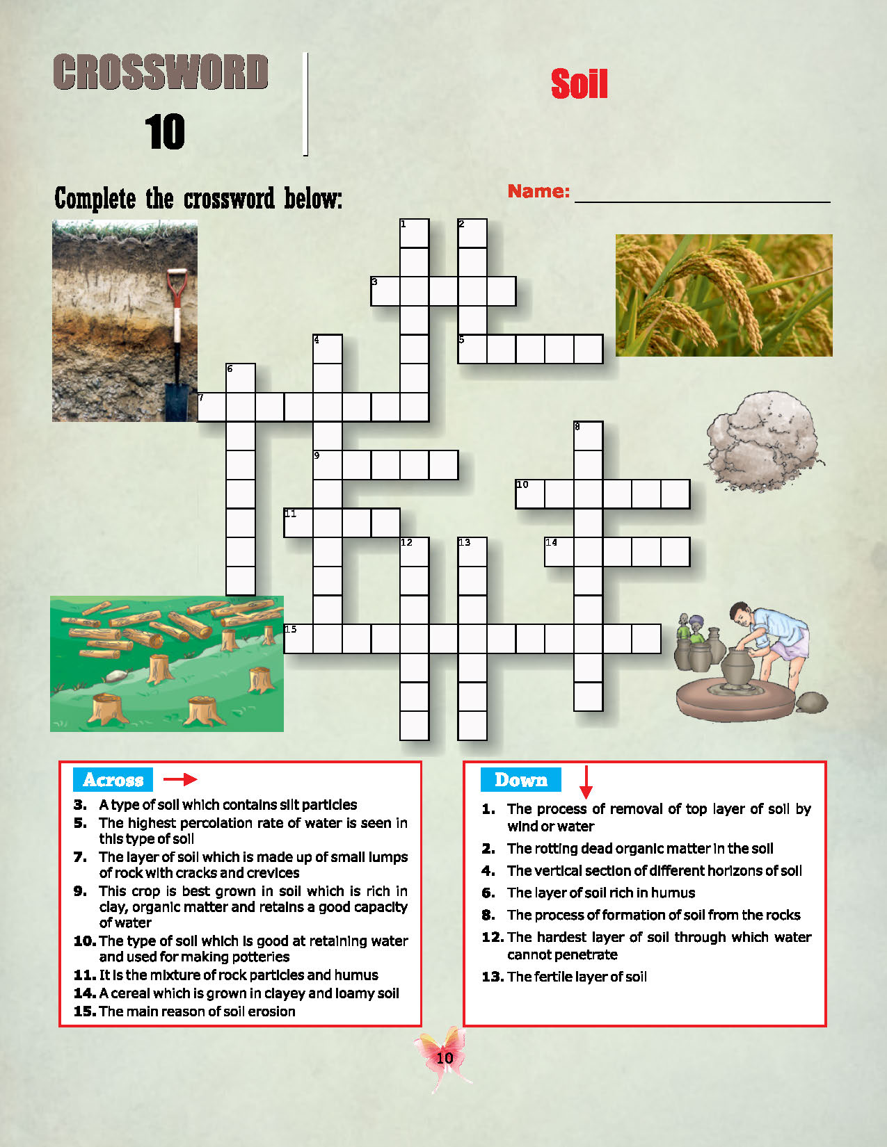 21 Science Crossword Puzzles-Class 7