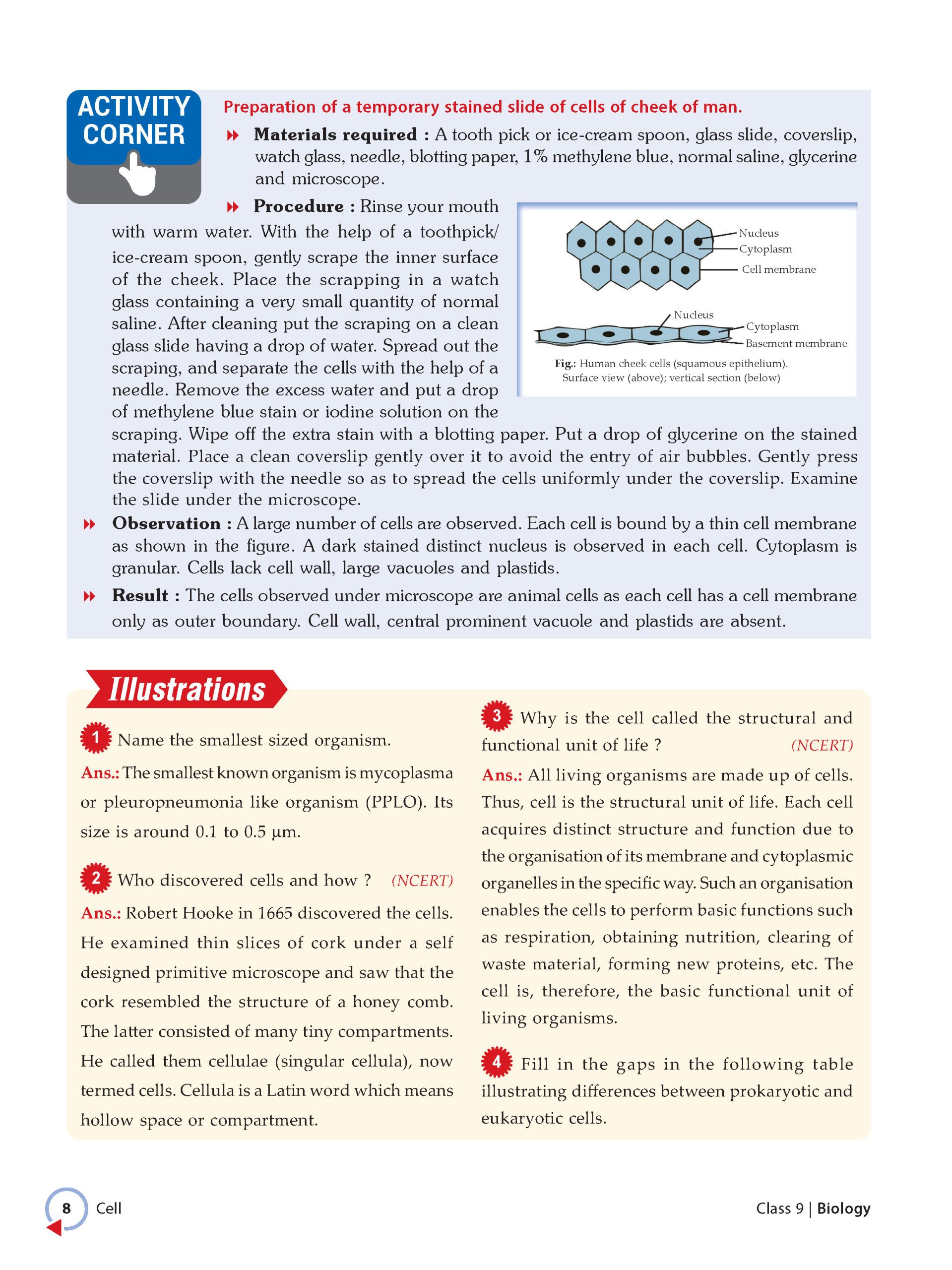 Foundation Course Class 9 Biology For NEET, IIT-JEE, CUET and Boards Exams Based on New NCERT Syllabus and Pattern 2026-2027