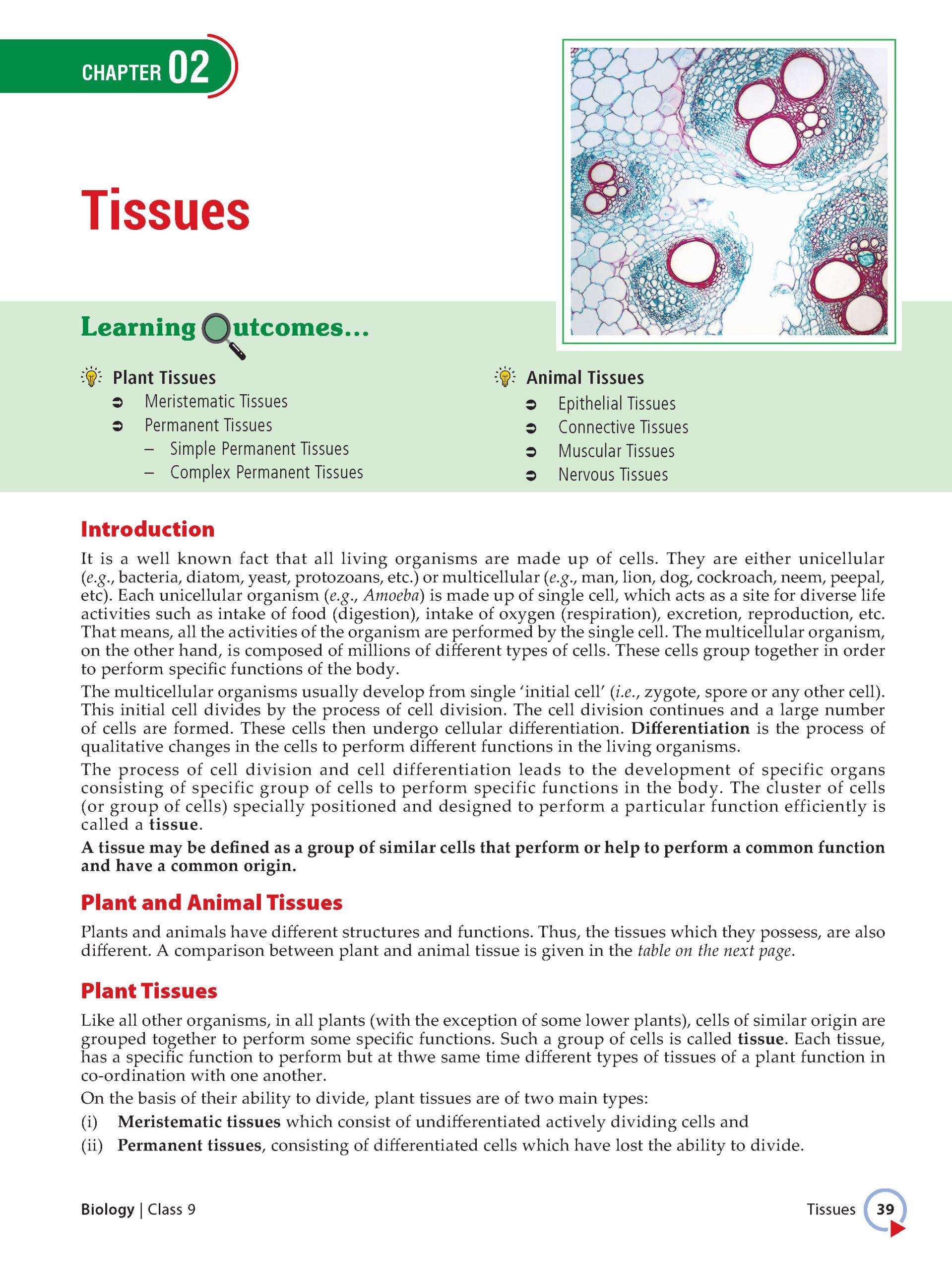 Foundation Course Class 9 Biology For NEET, IIT-JEE, CUET and Boards Exams Based on New NCERT Syllabus and Pattern 2026-2027