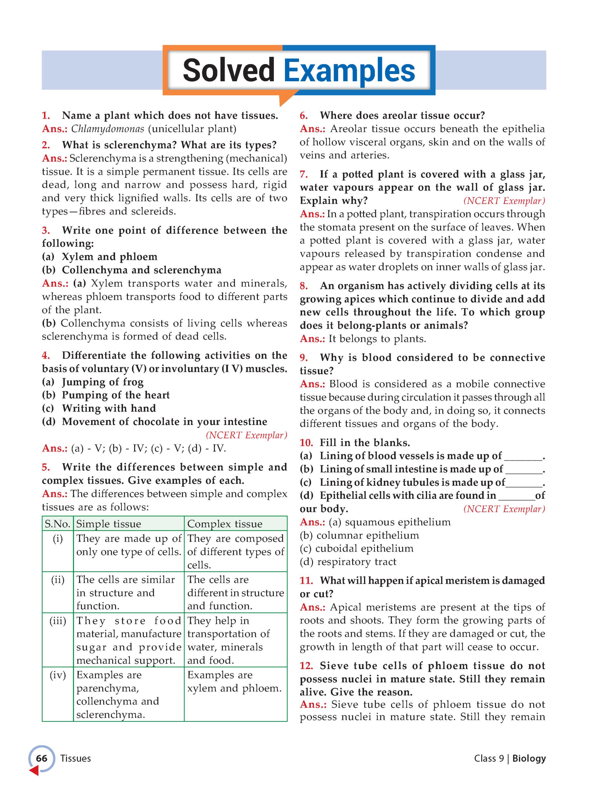 Foundation Course Class 9 Biology For NEET, IIT-JEE, CUET and Boards Exams Based on New NCERT Syllabus and Pattern 2026-2027