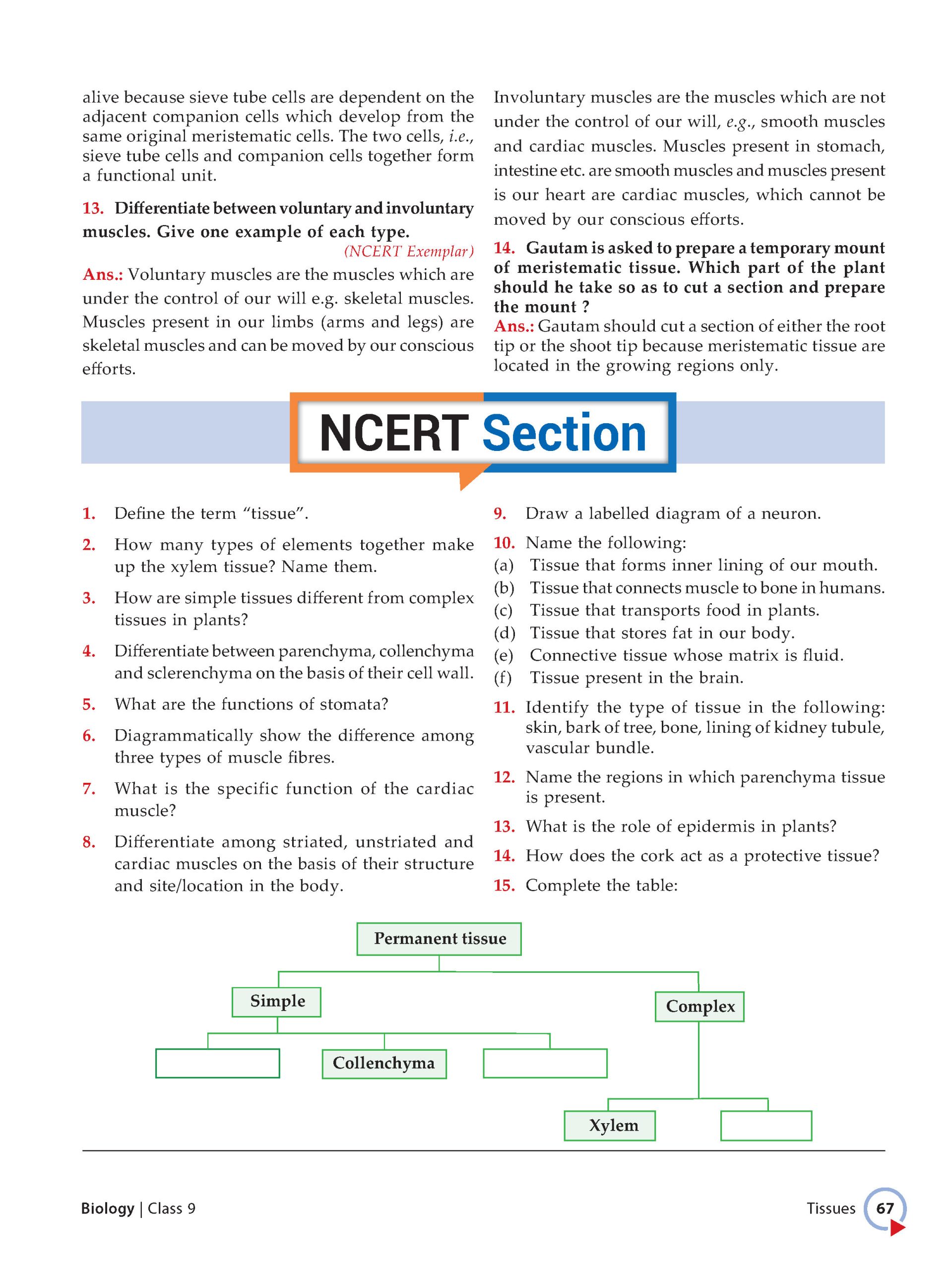 Foundation Course Class 9 Biology For NEET, IIT-JEE, CUET and Boards Exams Based on New NCERT Syllabus and Pattern 2026-2027