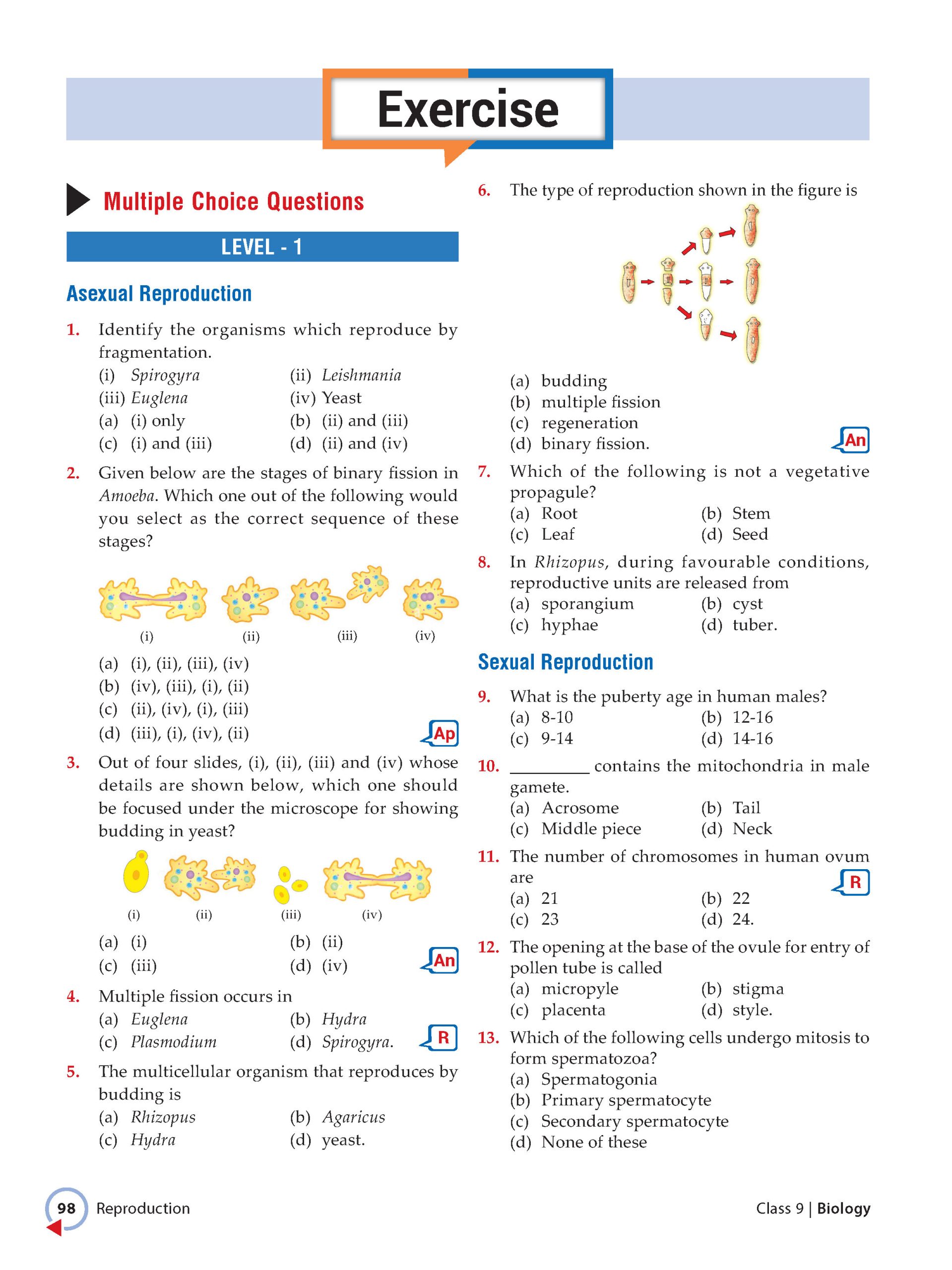 Foundation Course Class 9 Biology For NEET, IIT-JEE, CUET and Boards Exams Based on New NCERT Syllabus and Pattern 2026-2027