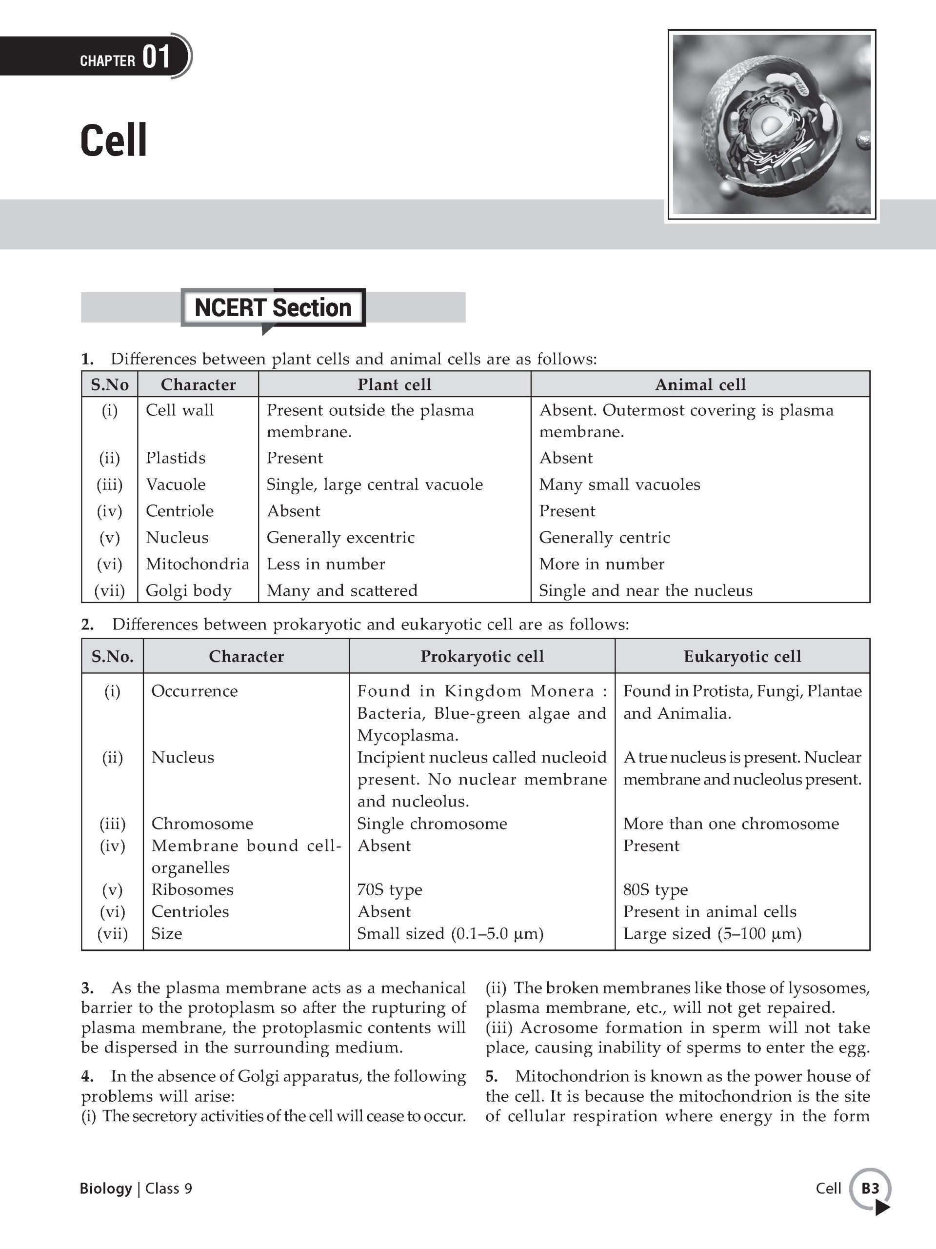 Foundation Course Class 9 Biology For NEET, IIT-JEE, CUET and Boards Exams Based on New NCERT Syllabus and Pattern 2026-2027