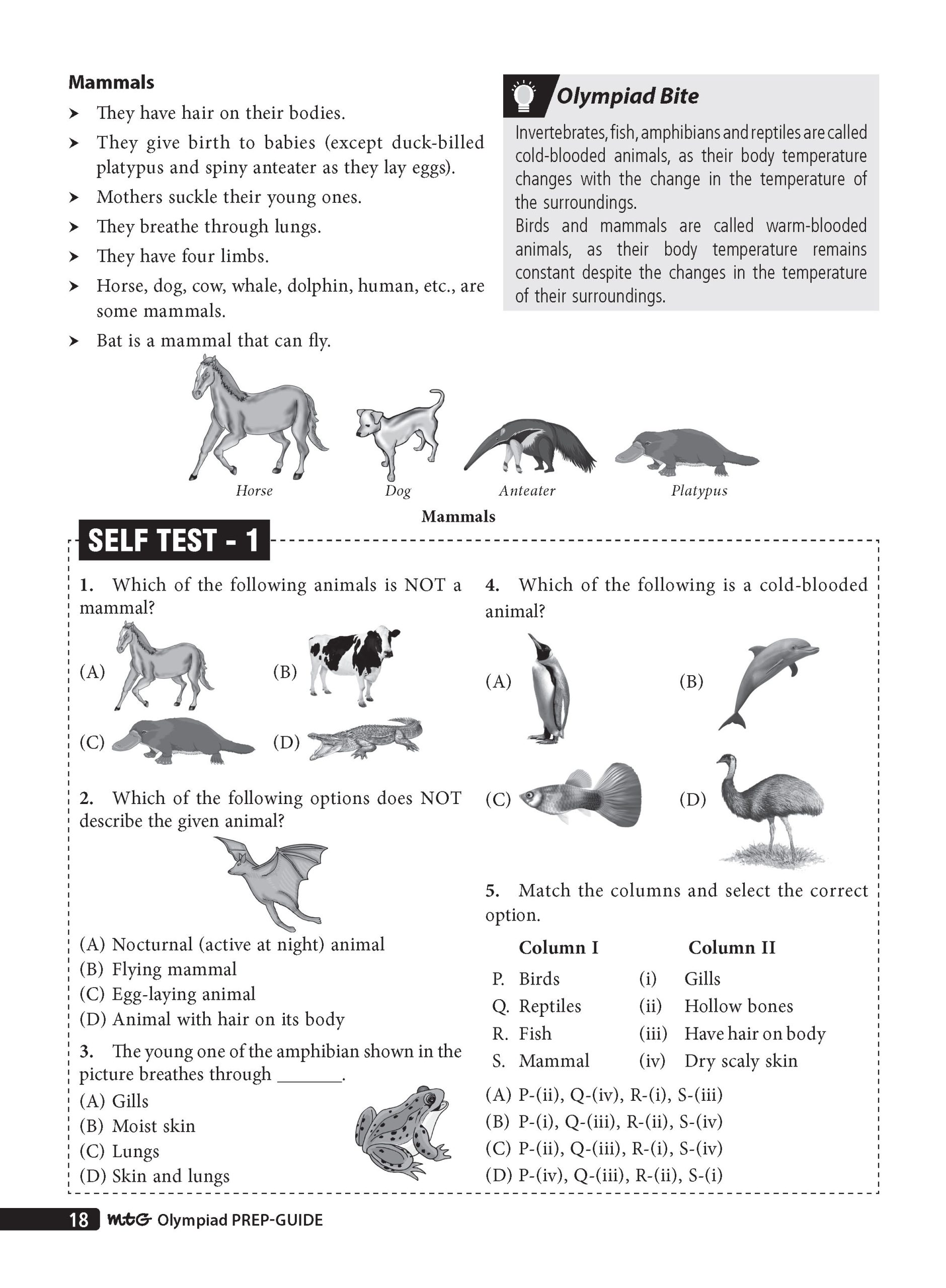 Class 4 Olympiad Prep-Guide (OPG) Science (ISO) - Detailed Theory, Self Test For SOF 2026-27 Exam