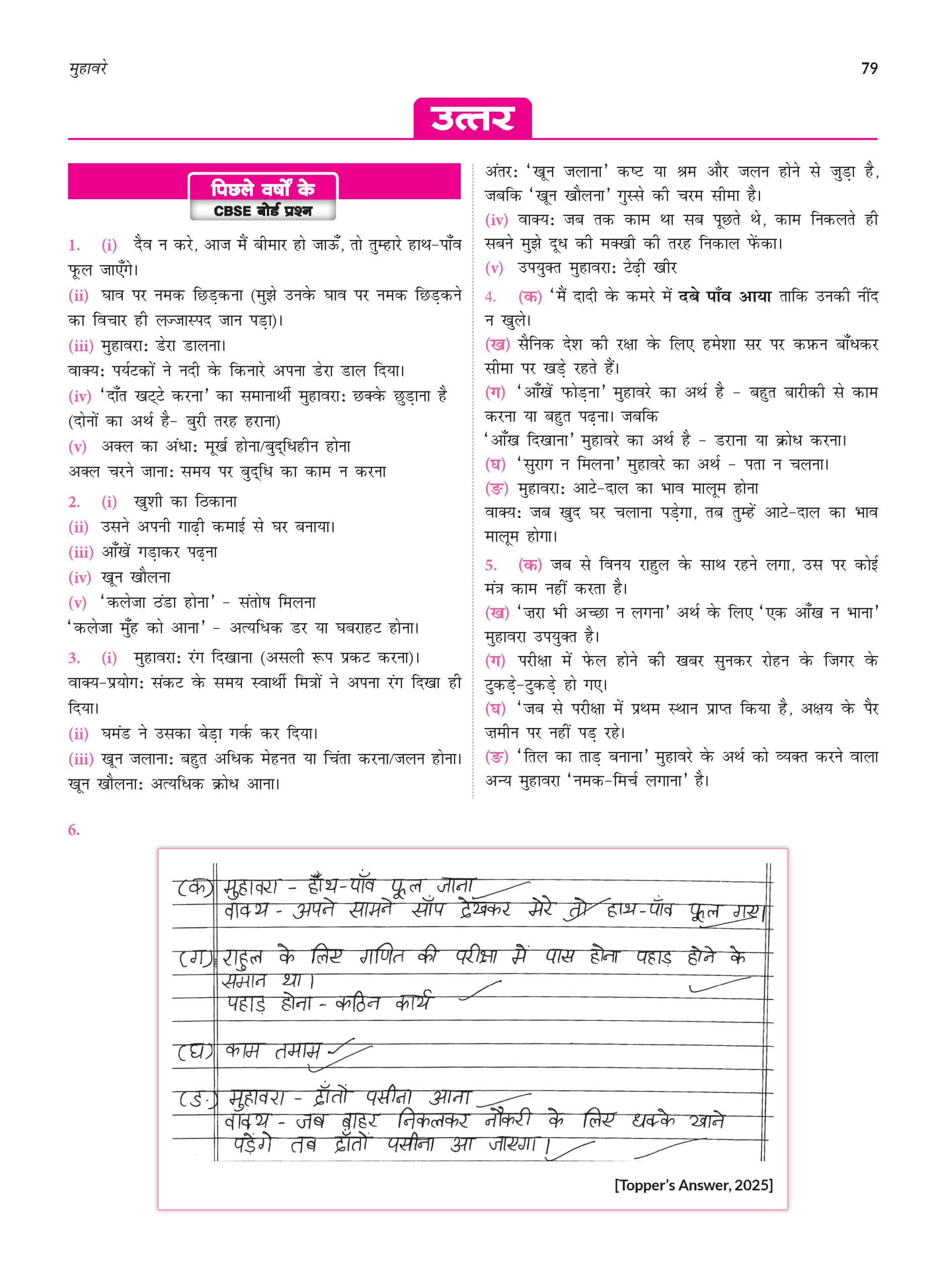 CBSE 10 Years (2026-2017) Chapterwise Topicwise Solved Papers Class 10 Hindi-B Book - CBSE Champion For 2027 Exam | Video Solution of PYQs (Based on Latest Pattern)
